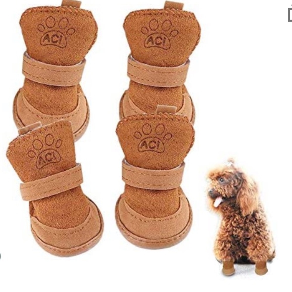 Toy poodles shoes